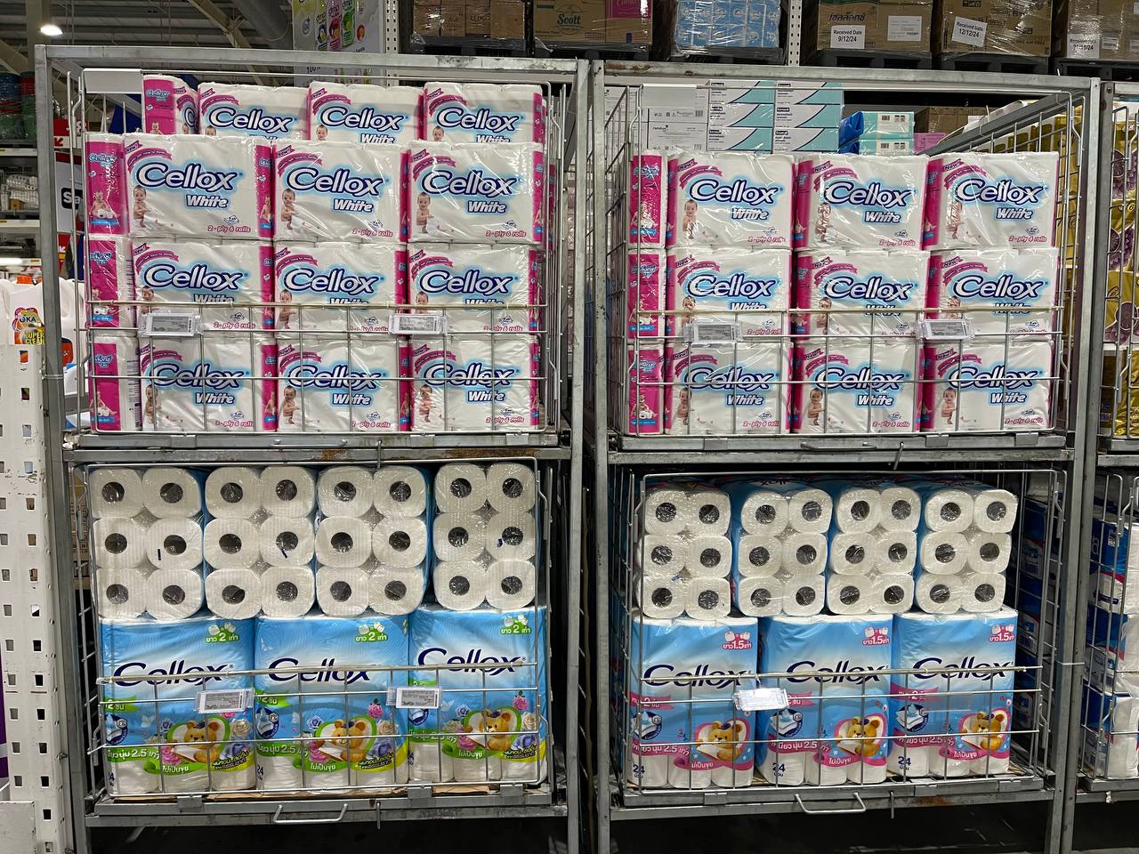 Modern Trade Distribution Boosting FMCG Sales with BJC Products at Makro Market In Cambodia - Image 23